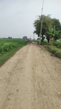 Yolun her iki tarafında kırsal toprak yol ve çimenler var. Kırsal alanlarda yol.