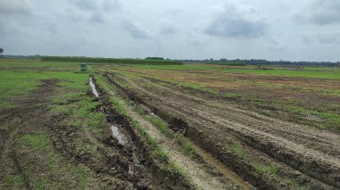 Hindistan 'dan gelen tarım yeşili toprak