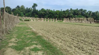 Hindistan 'dan gelen tarım yeşili toprak