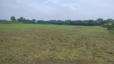 Tropik adanın kırsal kesiminde.