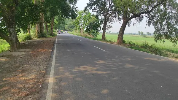Hindistan kırsalında asfalt yol.