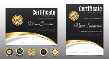 Profesyonel diploma sertifikası şablonu birinci sınıf. vektör