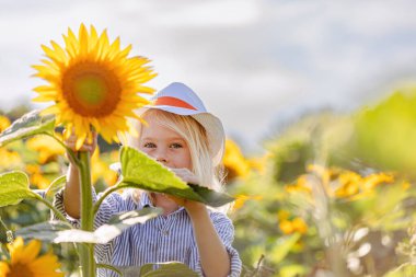 Ayçiçeği tarlasında duran şapkalı sarışın bir çocuk.