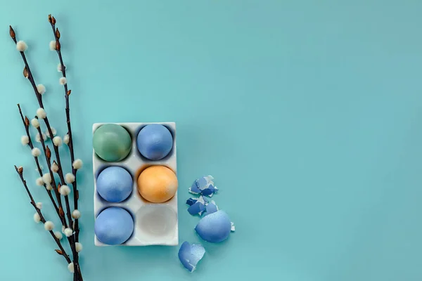 Colorful Easter Eggs Stand Blue Background Next Willow Branches 스톡 사진