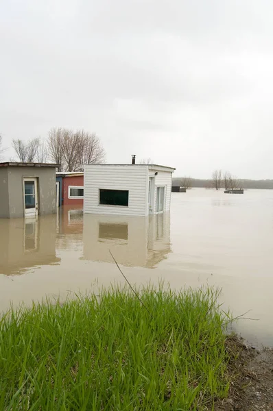 Ущерб Окружающей Среде Наводнения Вызванные Вертикальным Изменением Климата — стоковое фото