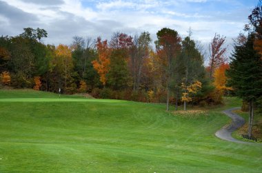 Yükseltilmiş Golf Yeşil ve Bayrak Sonbaharda Yatay