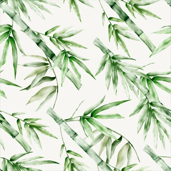 Елегантна Зелень Бамбук Акварельний Квітковий Безшовний Візерунок — стоковий вектор