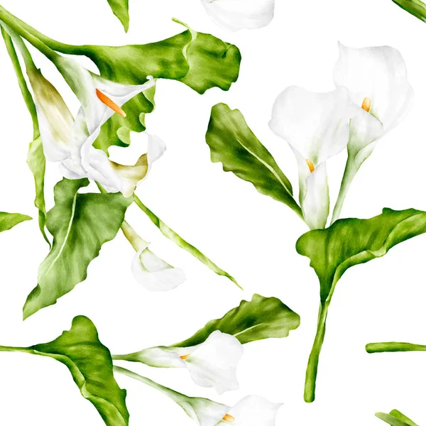 Watercolor White Calla Lily Flower Floral Seamless Pattern —  Vetores de Stock