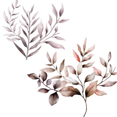 Zarif suluboya kahverengi yapraklar buketi