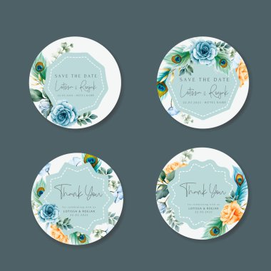 Güzel çiçek koleksiyonu ve tavus kuşu tüyü