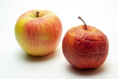 beyaz zemin üzerinde iki elma