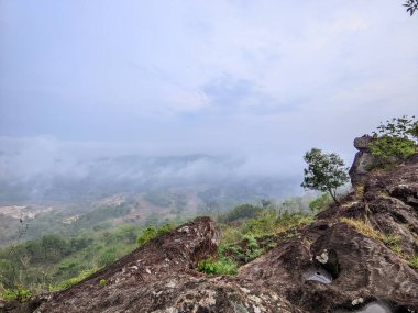 Arkasında bir dağ olan güzel bir manzara.