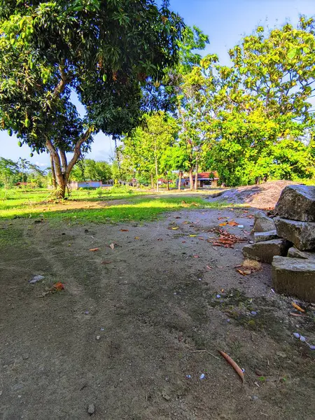 Güneşli bir günde ağaçlı ve banklı güzel bir park manzarası.