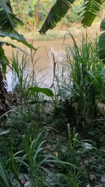 Bahçedeki güzellik ve doğa