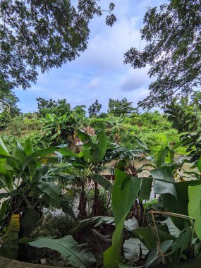 Doğanın güzel manzarası