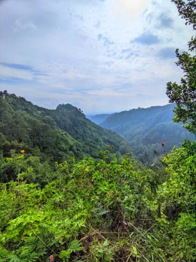 Dağların güzel manzarası