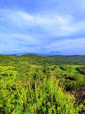 Ağacı ve mavi gökyüzü olan güzel bir manzara.