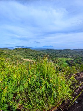 Dağları ve ağaçları olan güzel bir manzara.