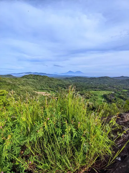 Dağları ve ağaçları olan güzel bir manzara.