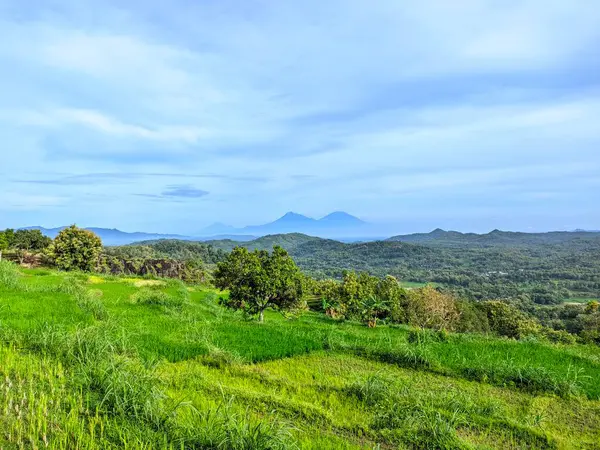 # Dağlı yeşil çimenler #