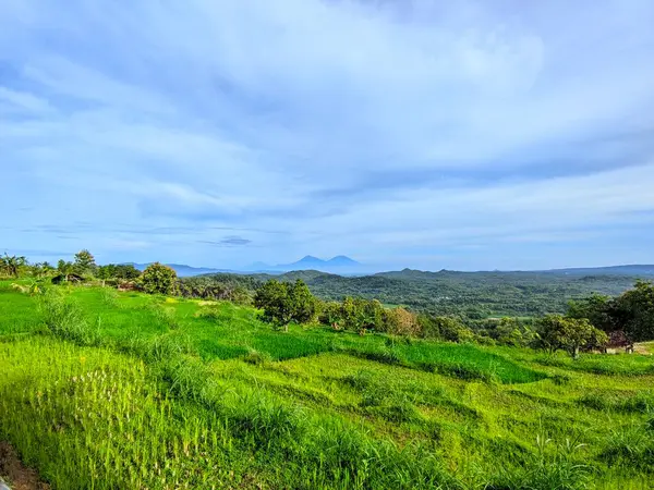 Ağaçlar ve mavi gökyüzü olan güzel bir manzara.
