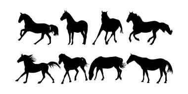 Sevimli vahşi hayvan izole vektör siluetleri koleksiyonu