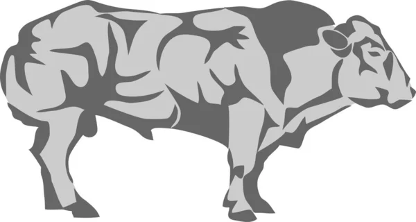 Belgian Cattle Stylized Vector Illustration — Stock Vector