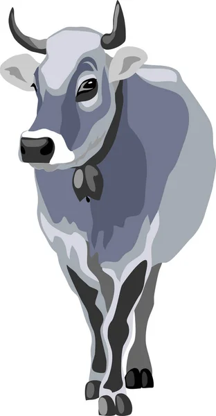 Tyrol Grey Cattle Vector Illustration — Stock Vector