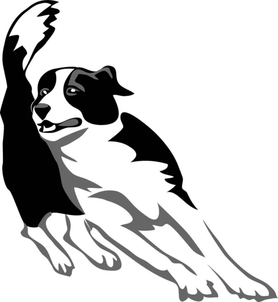 敏捷性 犬の訓練は極を織る — ストックベクタ