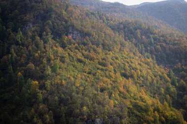 Gün boyunca dağlarda orman