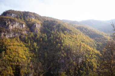 Gün boyunca dağlarda orman