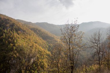 Gün boyunca dağlarda orman