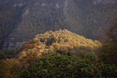 Gün boyunca dağlarda orman