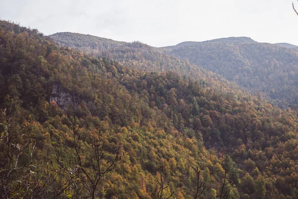 Gün boyunca dağlarda orman