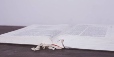 Tahta bir masanın üzerinde açık bir kitap