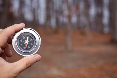 Gün boyunca ormanın arka planında bir pusula tutuyor.