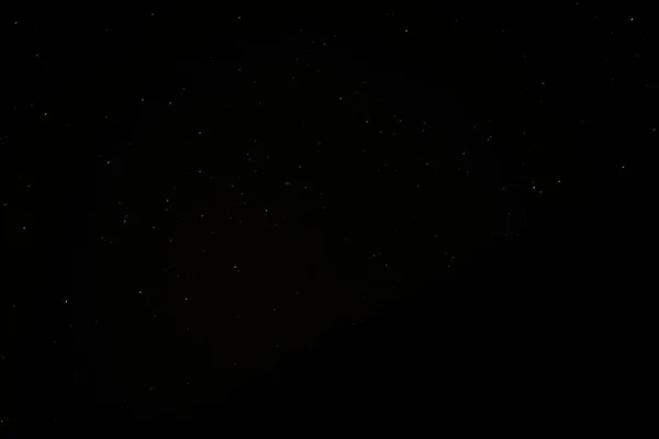 Ciel Étoilé Arbres Nuit — Photo