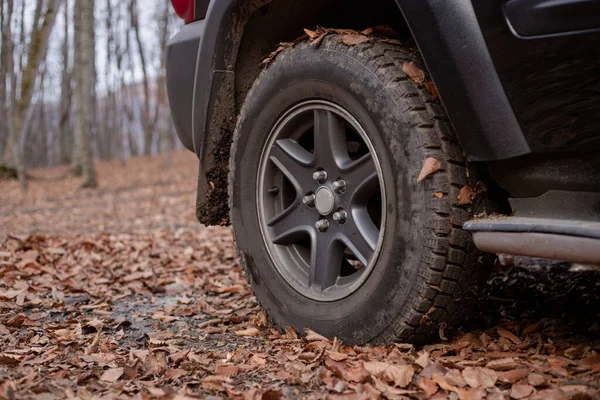 stock image The car stands in the forest in autumn