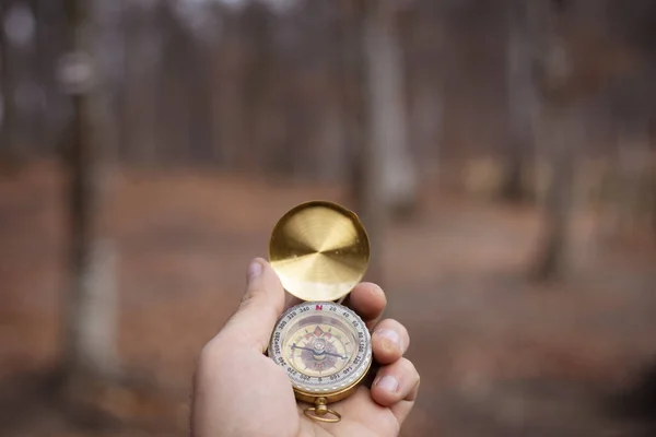 Holds Compass Background Forest Day — Stock Photo, Image