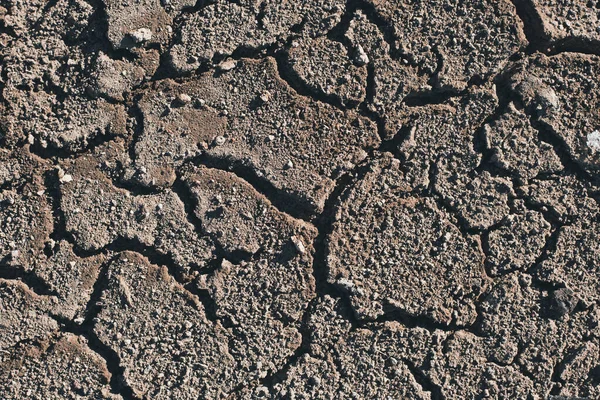 背景として乾燥した地面をクラック — ストック写真