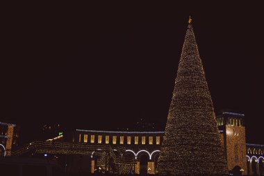 Ermenistan Cumhuriyeti Yeni Yıl Meydanı ve gece süslenmiş bir Noel ağacı.