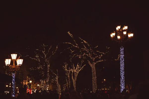 Деревья Столбы Городского Освещения Освещаются Гирляндами Ночью — стоковое фото