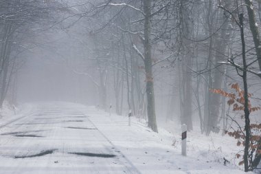 Kışın karlı bir yol sisli bir ormandan geçer.
