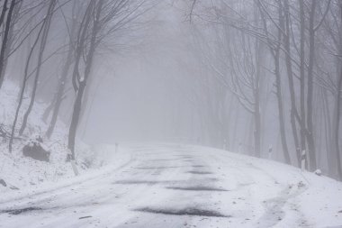 Kışın karlı bir yol sisli bir ormandan geçer.