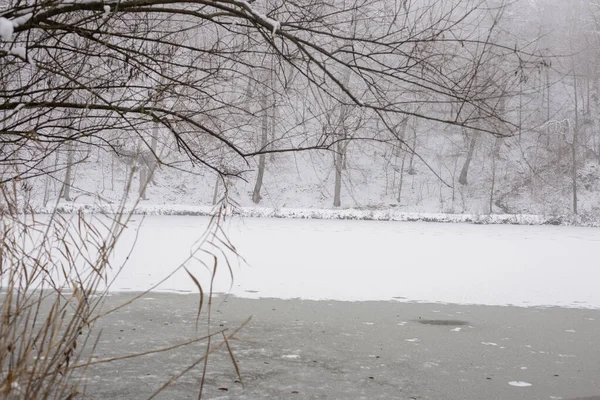 霧に包まれた雪に覆われた凍った湖と森 — ストック写真
