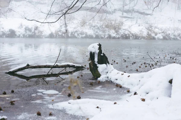 霧の中の雪と湖で覆われた森 — ストック写真