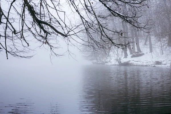 森林被雪覆盖 湖水被雾覆盖 — 图库照片
