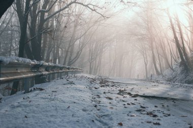 Kışın karlı bir yol sisli bir ormandan geçer.