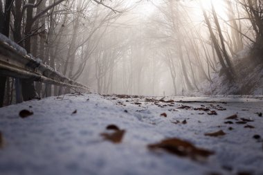 Kışın karlı bir yol sisli bir ormandan geçer.