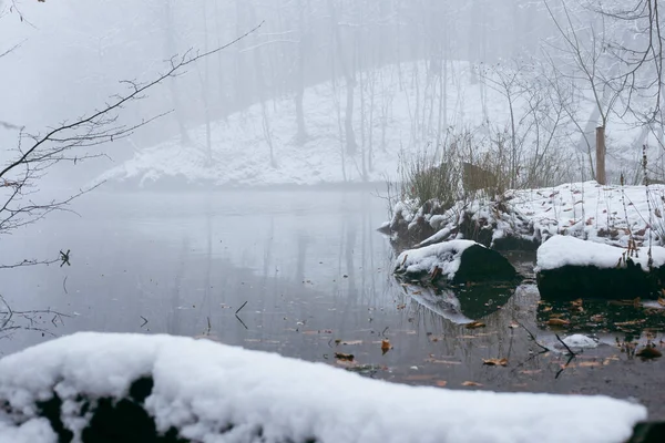 霧の中の雪と湖で覆われた森 — ストック写真
